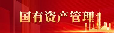 国有资产管理